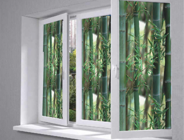 Porta de Vidro Comum